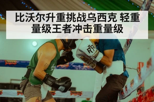 比沃尔升重挑战乌西克 轻重量级王者冲击重量级